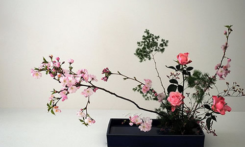 categoria-jardinagem-mikami-hortifruti-e-produtos-orientais