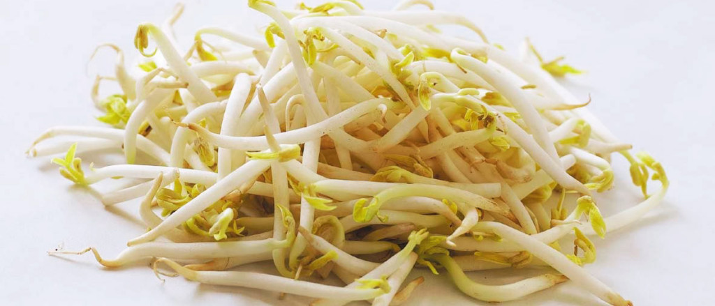 moyashi-um-alimento-barato-nutritivo-e-versatil-mikami